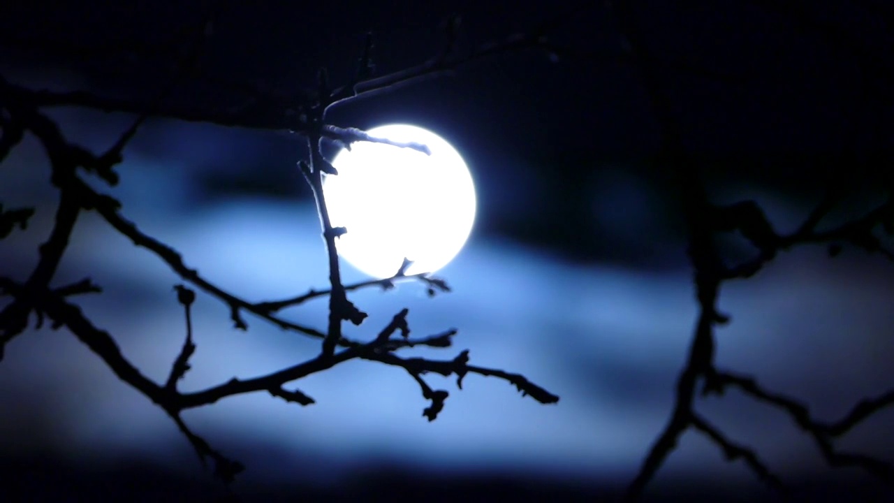 月亮在深蓝天空的树枝后面，模糊神秘的午夜云景，库存视频素材视频下载