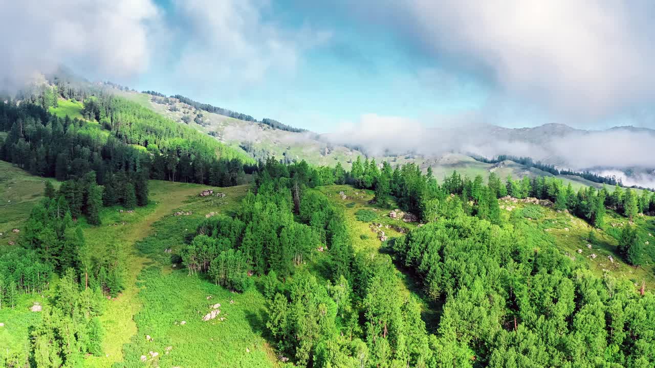 雾天空中拍摄的山上绿色森林视频素材