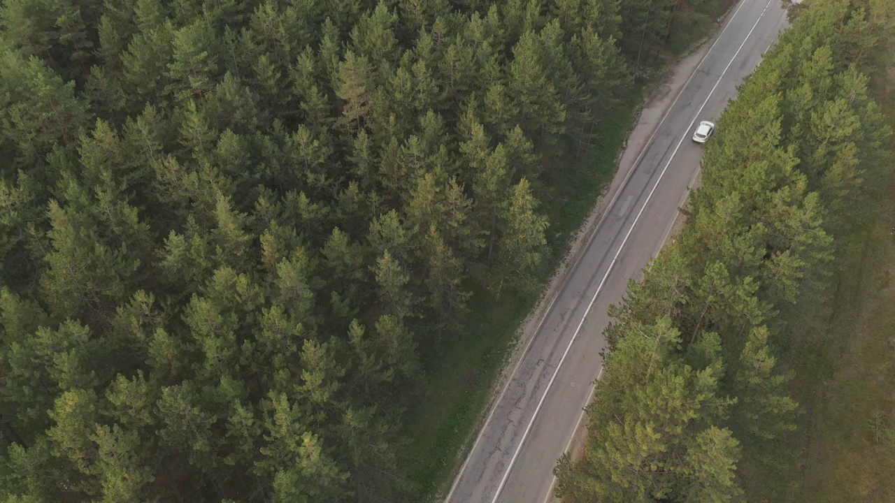 汽车和卡车在公路上穿过松树林，鸟瞰视频素材