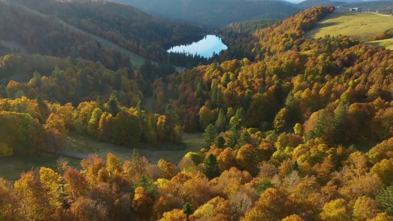 法国孚日山脉森林中的德拉兰德湖视频素材