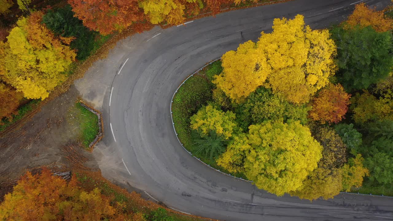 法国秋天，穿过孚日山脉森林的路视频素材