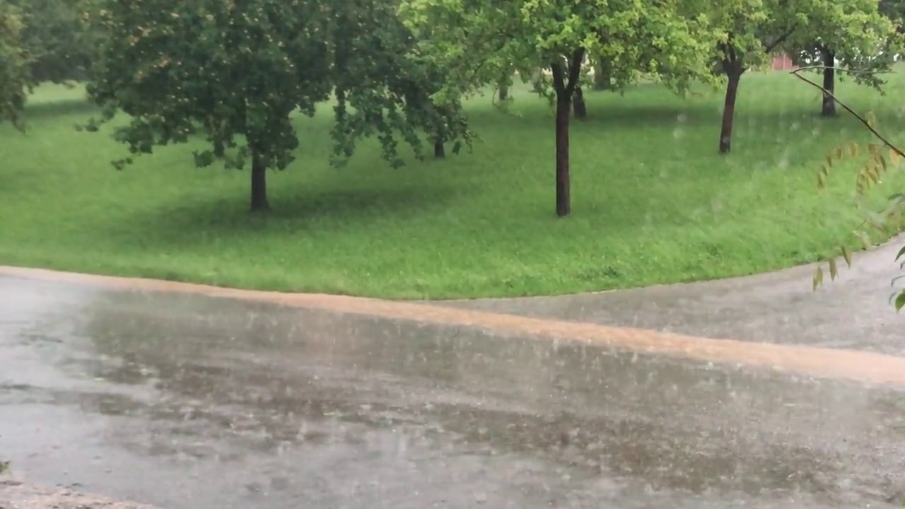 雨视频素材