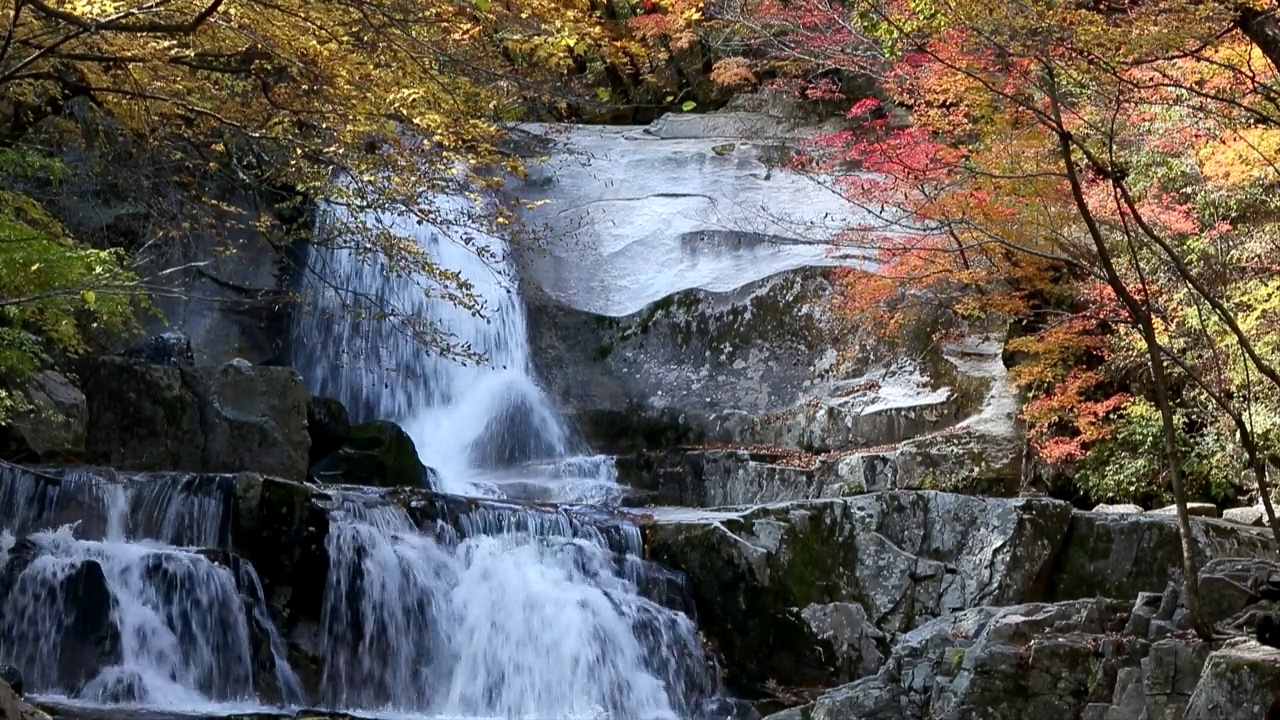 在韩国江原道仁济郡Bangtaesan山的山谷里，秋叶和瀑布视频素材