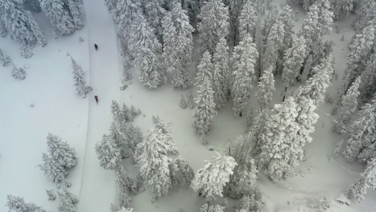 两个人滑雪在Grand Mesa西部科罗拉多州无人机的观点在雪天暴风雪条件视频素材