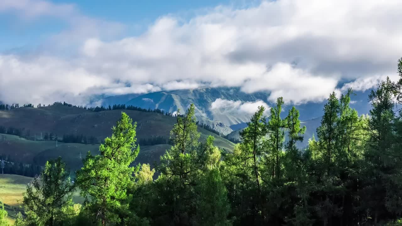 雾天空中拍摄的山上绿色森林视频素材