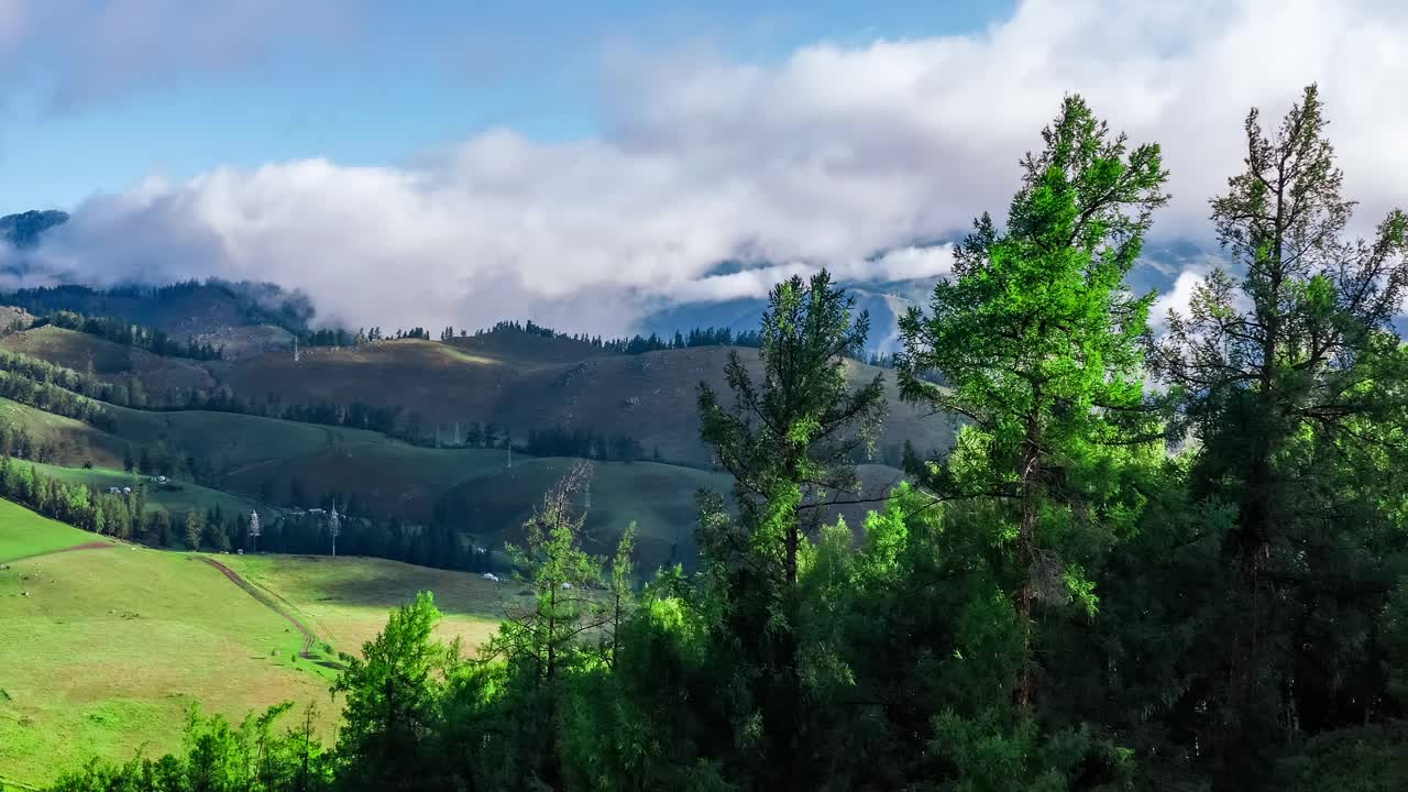 雾天空中拍摄的山上绿色森林视频素材