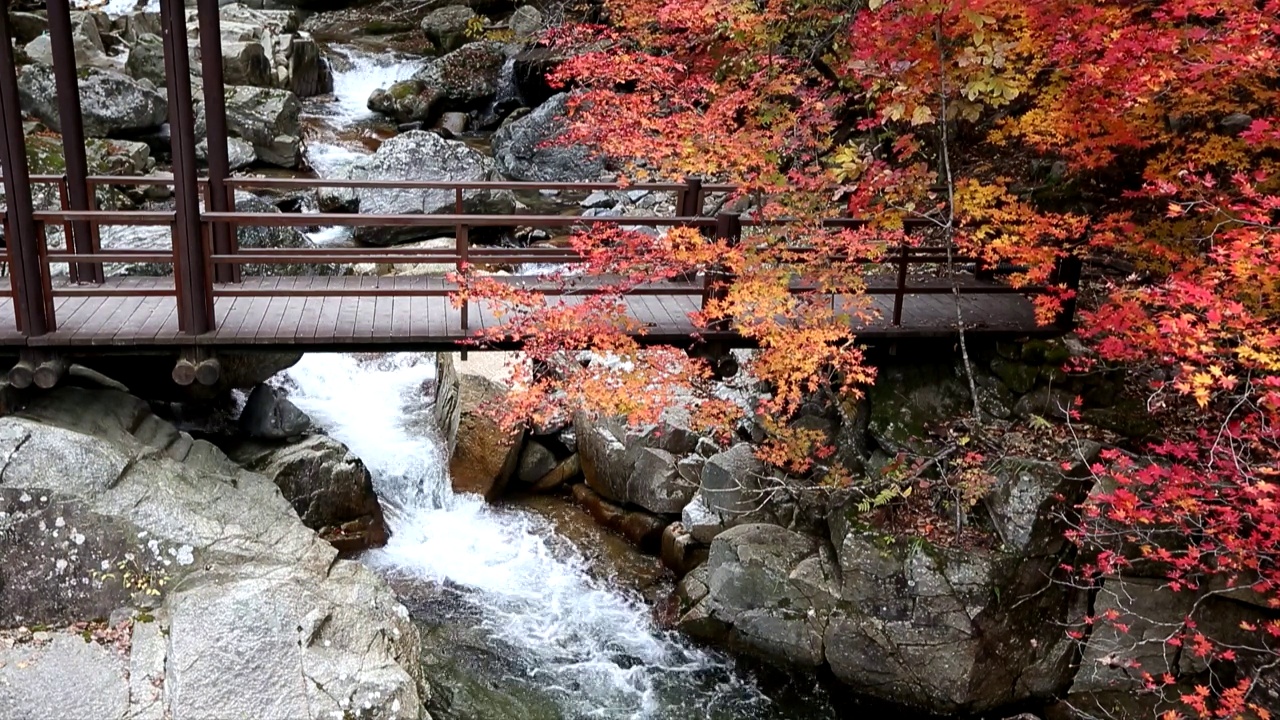 韩国江原道仁济郡邦台山的秋叶和山谷视频素材