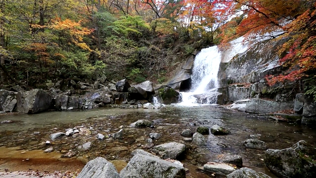 在韩国江原道仁济郡Bangtaesan山的山谷里，秋叶和瀑布视频素材