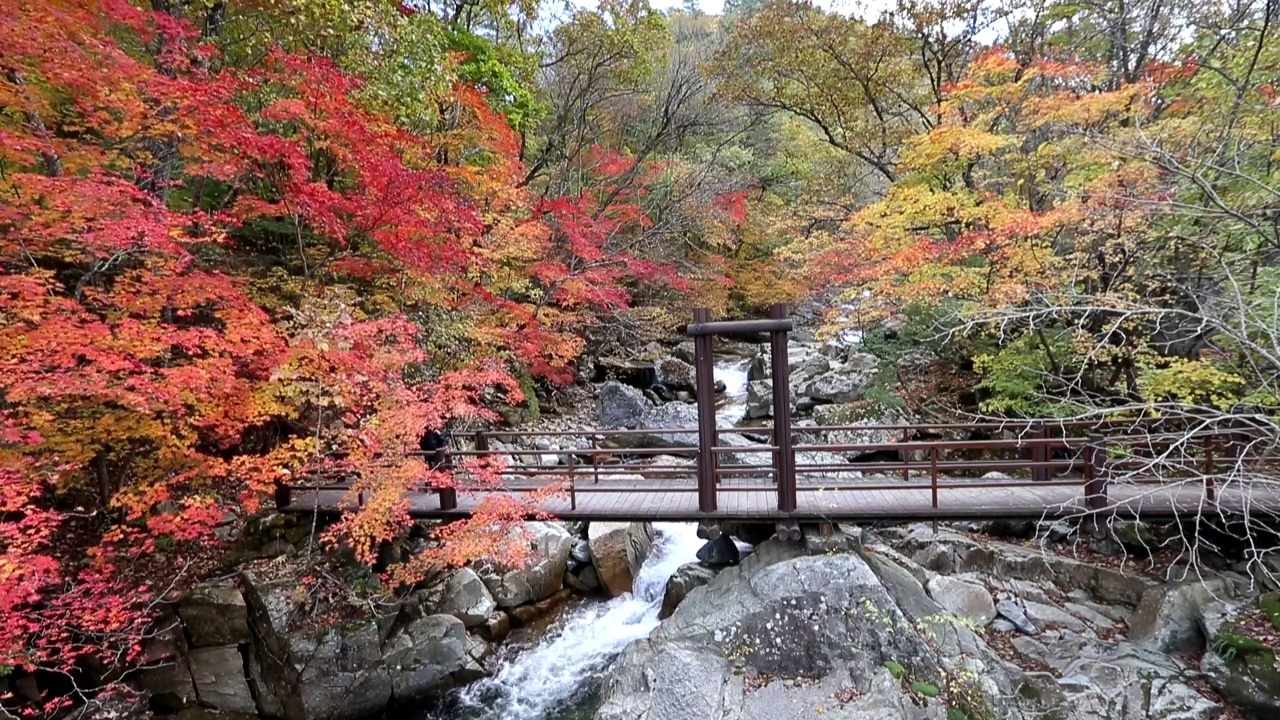 韩国江原道仁济郡邦台山的秋叶和山谷视频素材