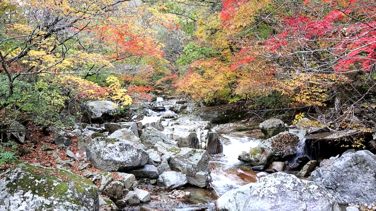 韩国江原道仁济郡邦台山的秋叶和山谷视频素材