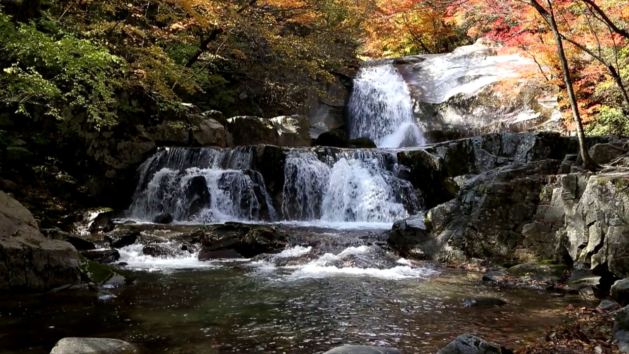 在韩国江原道仁济郡Bangtaesan山的山谷里，秋叶和瀑布视频素材