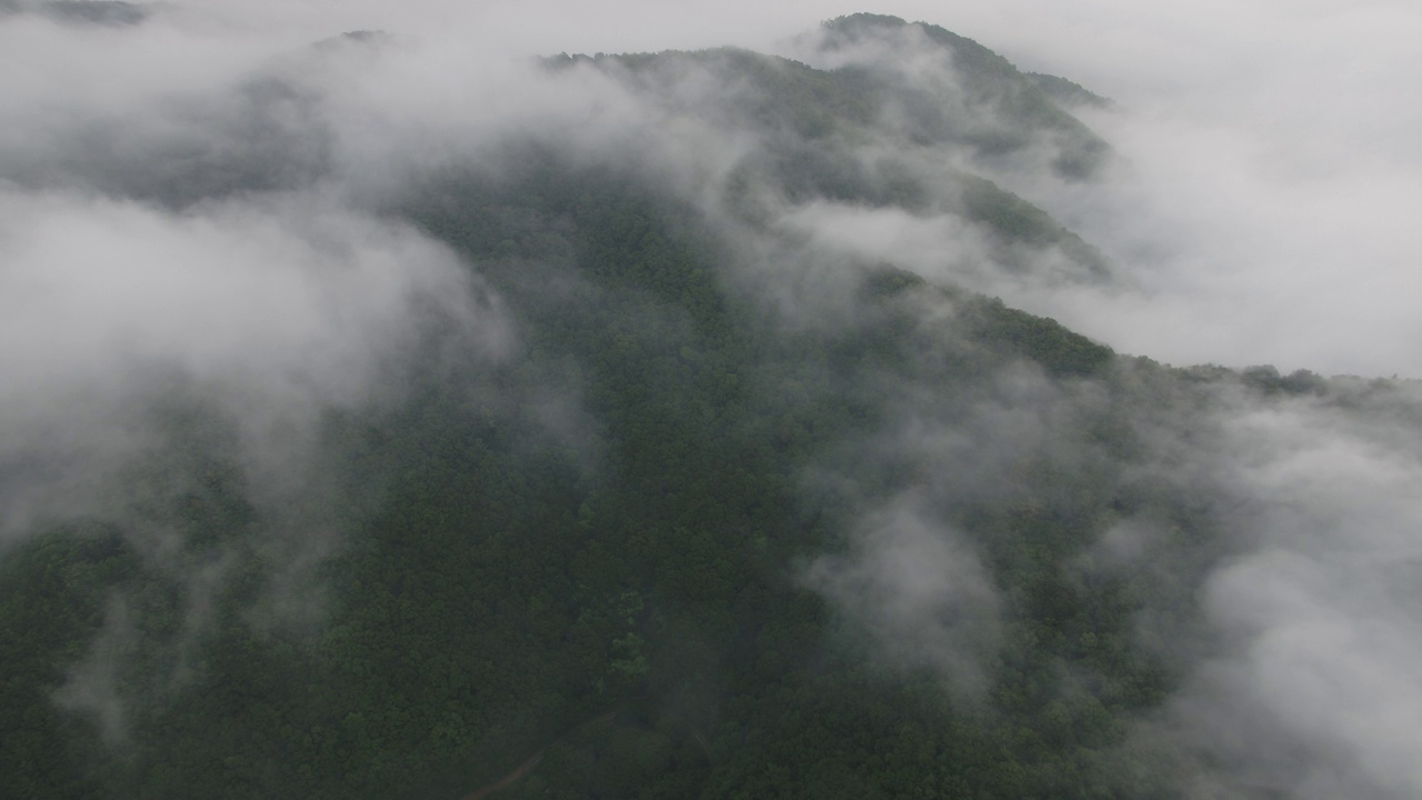 韩国忠北清州市美原郡/上唐区云海美东山植物园视频素材