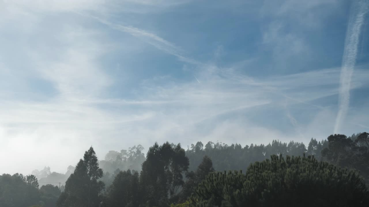 美丽的天空，薄雾和树木视频素材