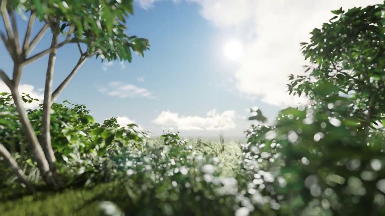 日出在一片植物，天空和云彩之上，摄像机从右向左平移，4K视频素材