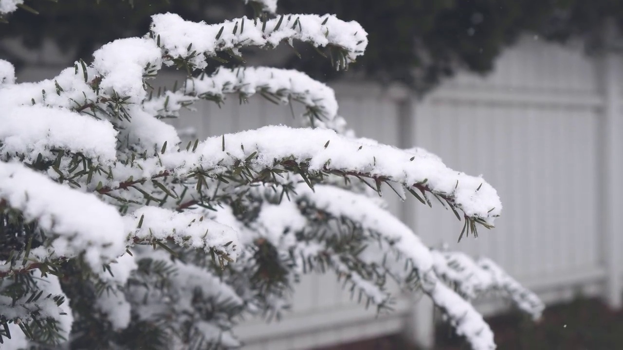 雪落视频素材