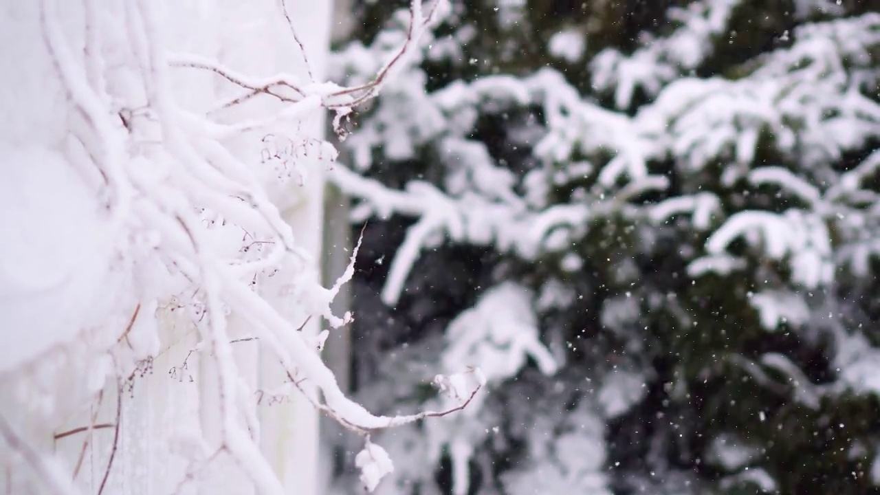 雪落视频素材