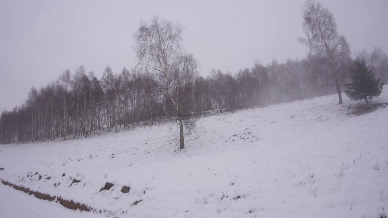 774 .山顶上的牧场和森林被白雪覆盖视频素材