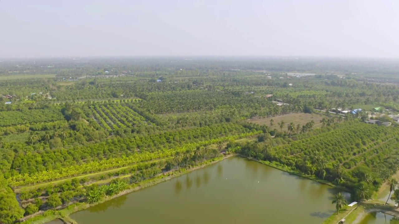 在夏季，从国家公园的热带森林鸟瞰郁郁葱葱的绿树。自然景观。模式纹理背景。视频素材