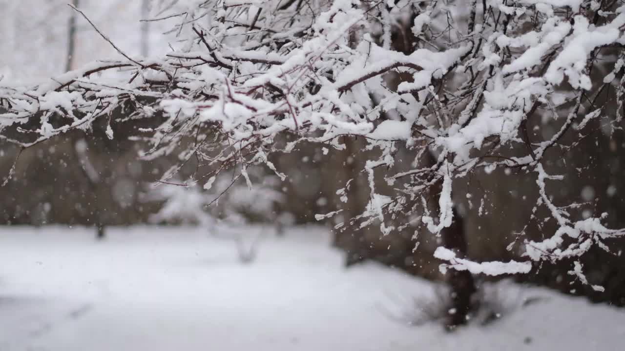 穿着黄色冬衣的滑稽小男孩在下雪时行走。儿童冬季户外活动。视频素材