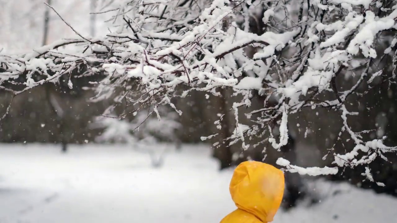 穿着黄色冬衣的滑稽小男孩在下雪时行走。儿童冬季户外活动。视频素材