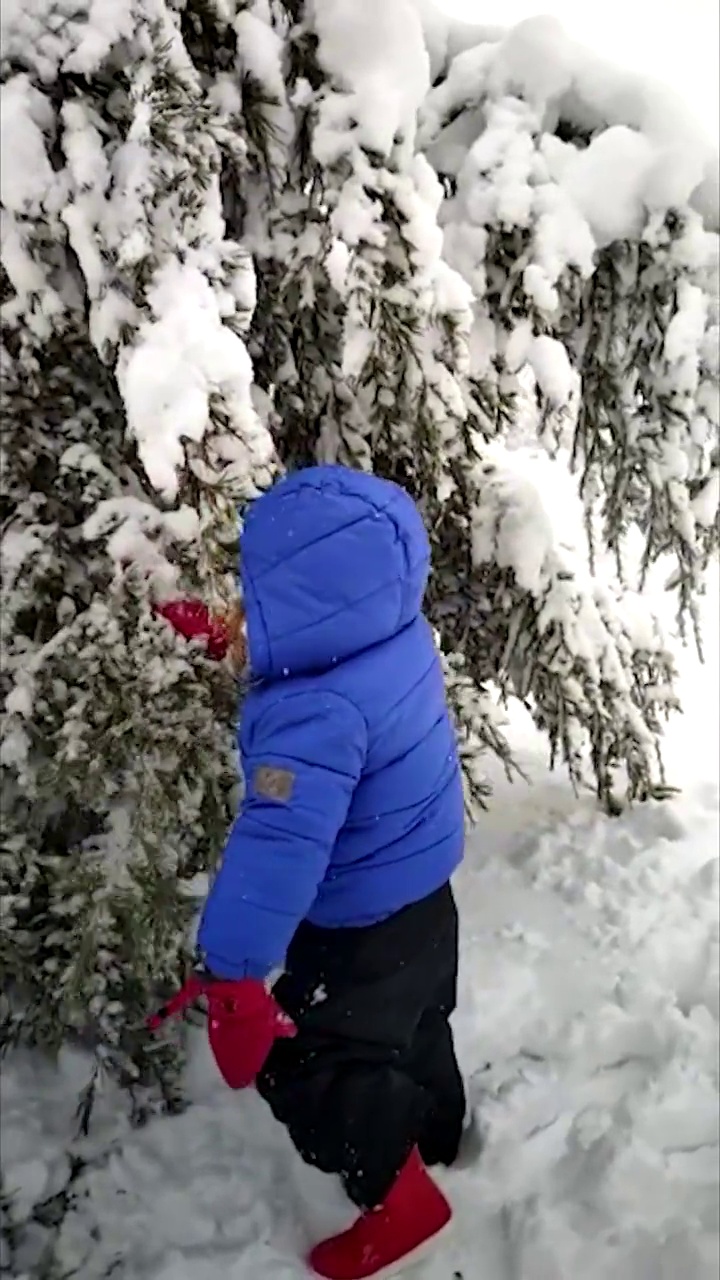 从后面看，小女孩穿着冬装从树枝上拔雪。视频素材