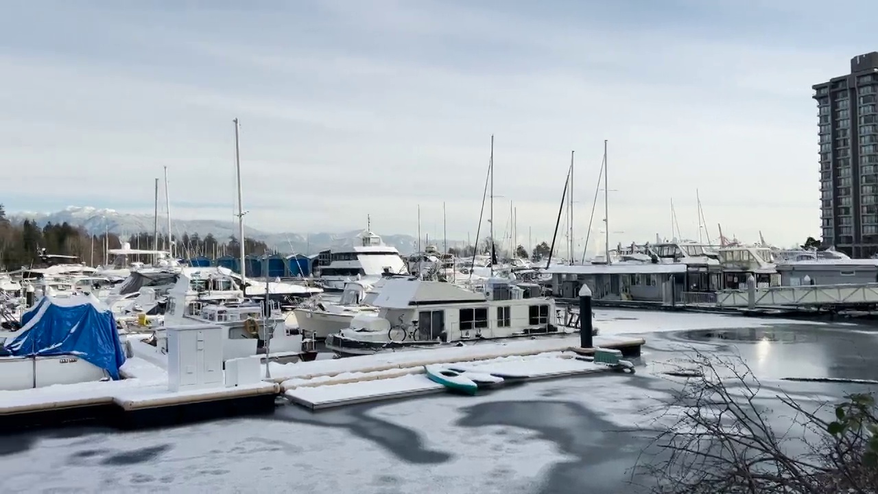 煤港的冰冻码头与船只。温哥华暴风雪和极端寒冷天气视频素材