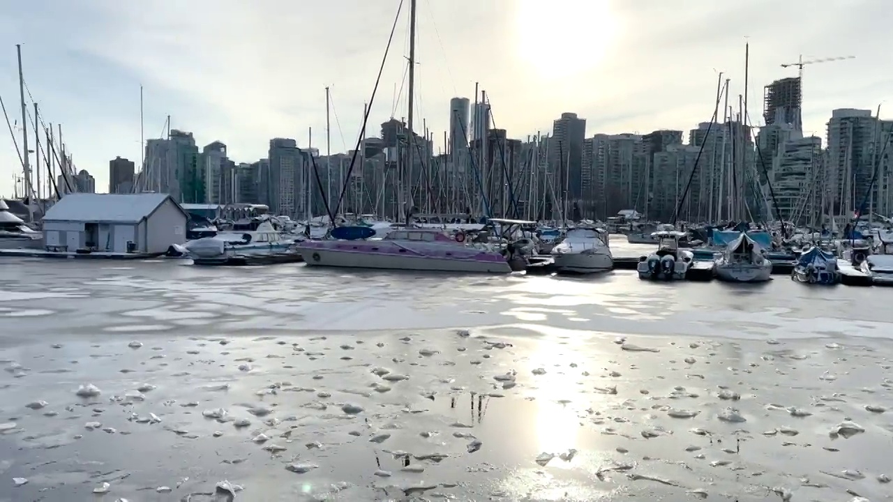 煤港的冰冻码头与船只。温哥华暴风雪和极端寒冷天气视频素材