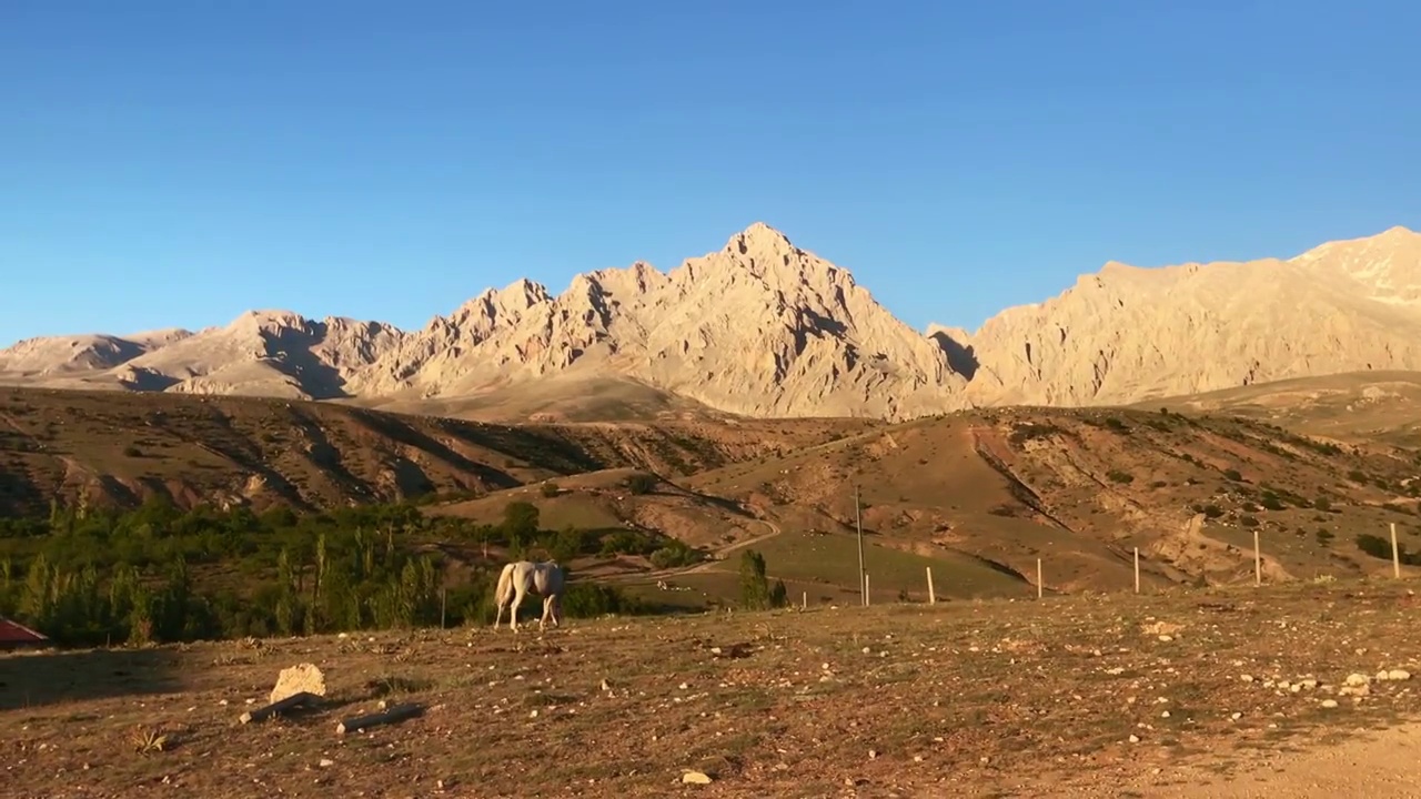 野马和桑瑟的阿拉达格拉山脉视频下载