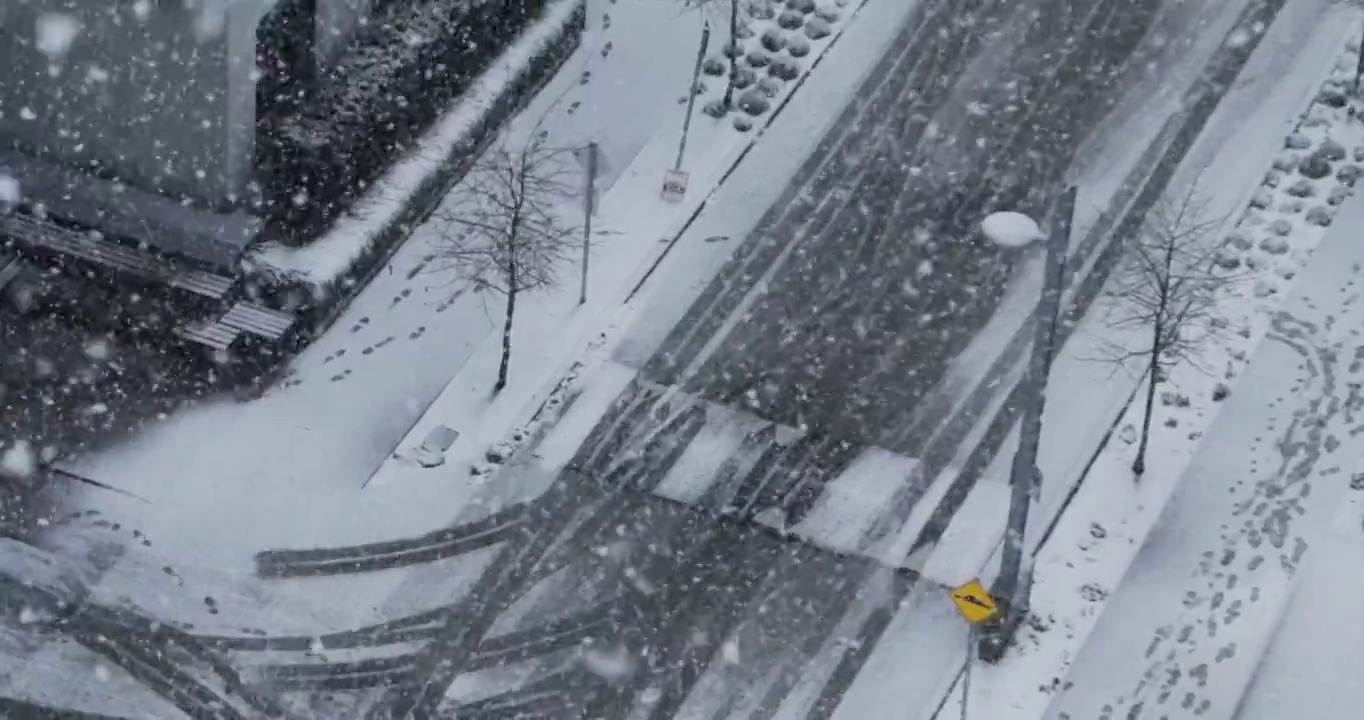 加拿大温哥华降雪期间，慢动作视频从上到下拍摄到下雪的道路和路灯视频下载