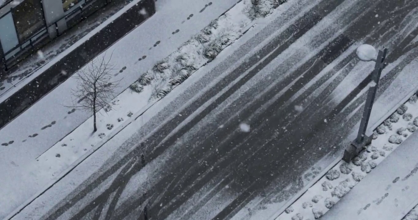 加拿大温哥华降雪期间，慢动作视频从上到下拍摄到下雪的道路和路灯视频下载