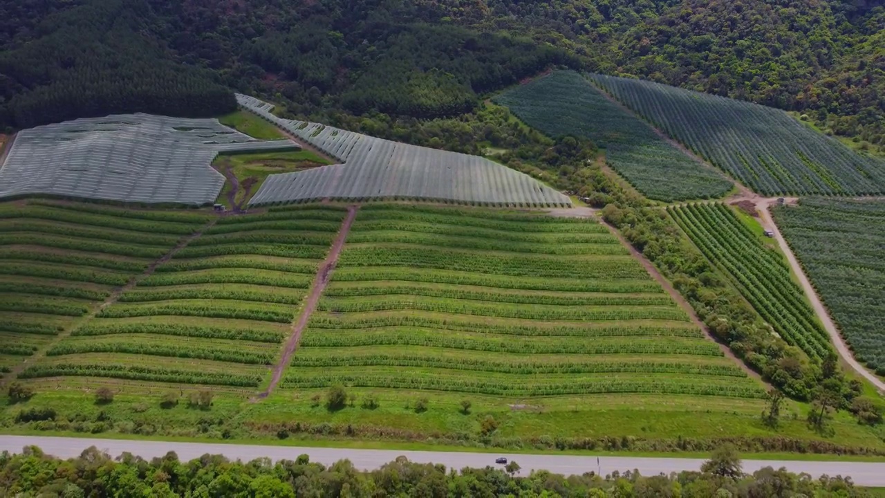 高速公路和种植园视频素材