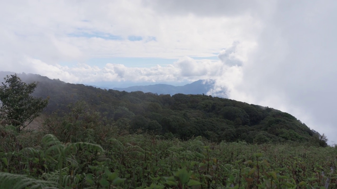 泰国清迈省，土茵塔农国家公园，基美潘自然步道的自然景观视频素材