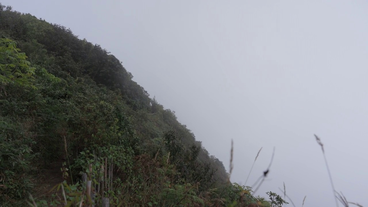 泰国清迈省，土茵塔农国家公园，基美潘自然步道的自然景观视频素材