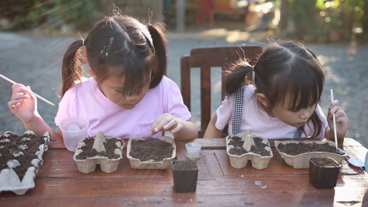 兄弟姐妹的孩子学习在土壤盒里播种。孩子参与在家里的园艺，日常生活活动的质量时间使用与家人。视频下载