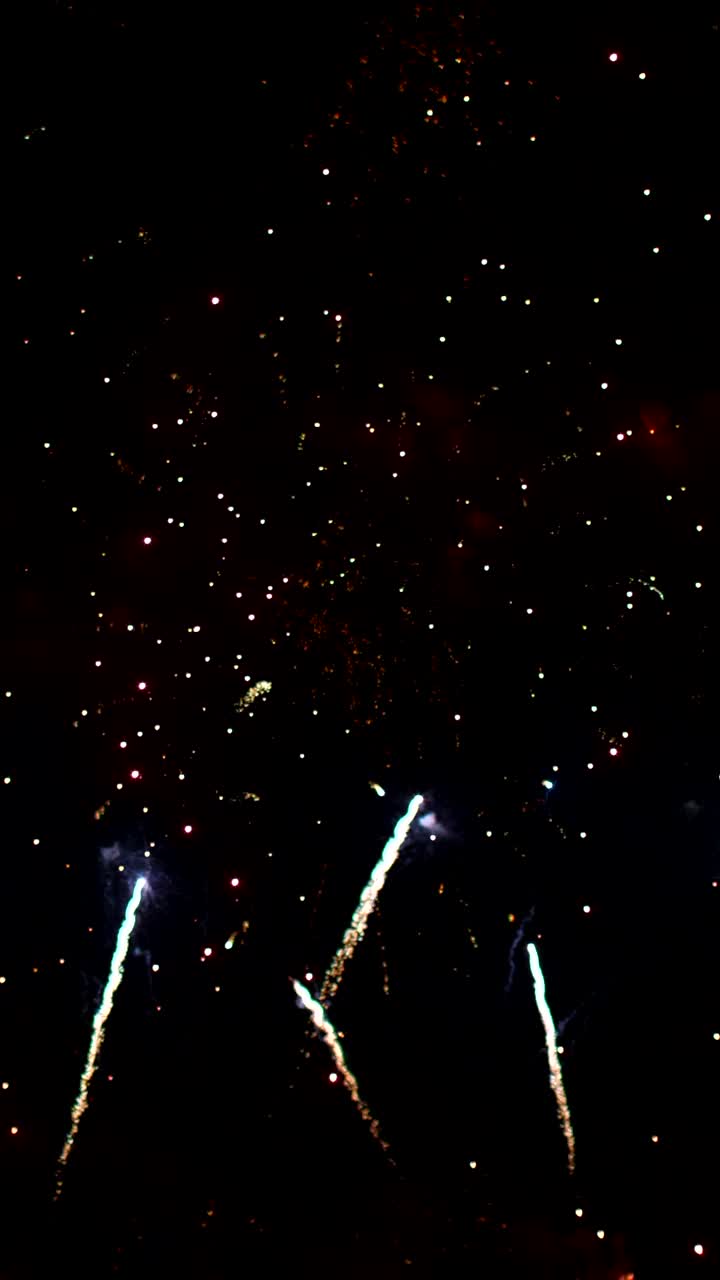 庆祝烟花在夜空，垂直背景视频素材