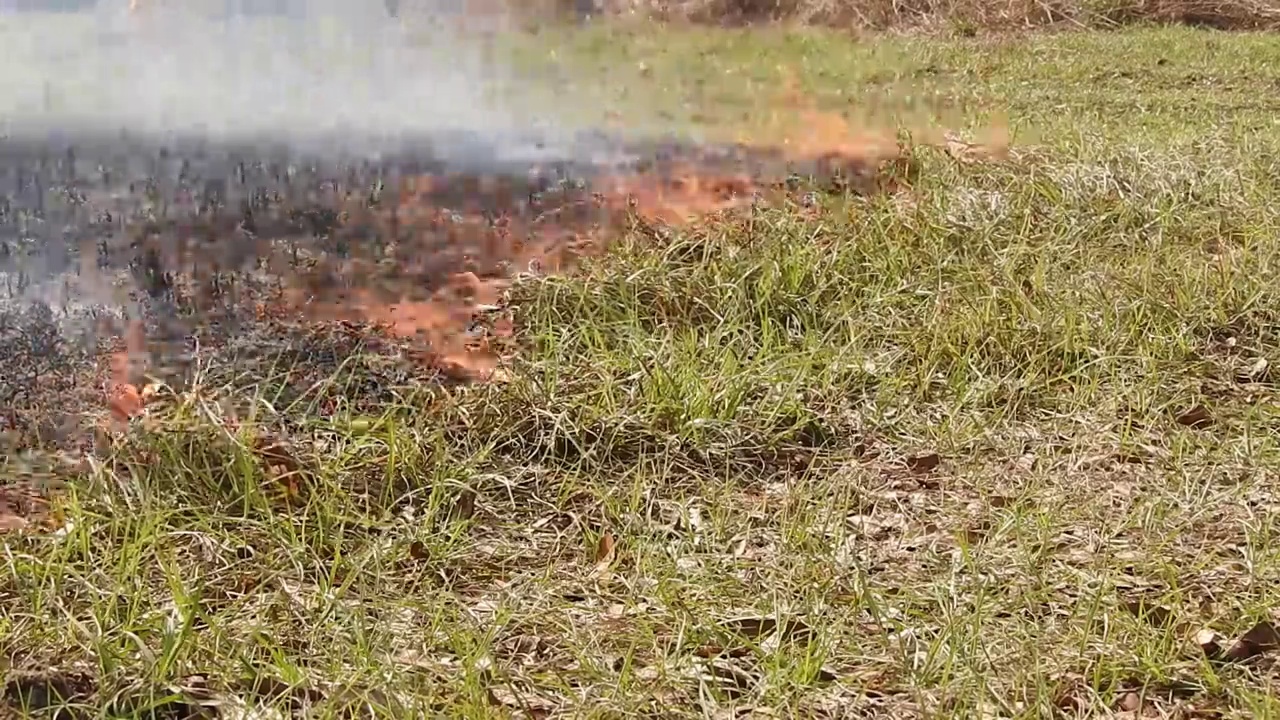 低，缓慢移动的火焰通过草地的特写视频素材