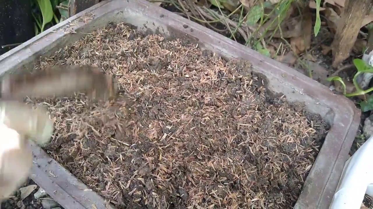 在一个桶里混合干草和土壤视频素材