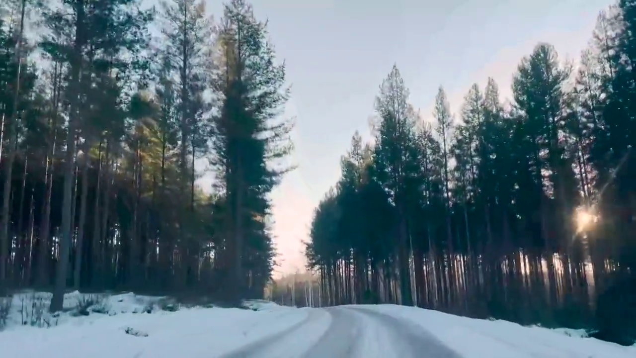 森林里空荡荡的道路。瑞典达拉那的冬季冰雪景观视频素材