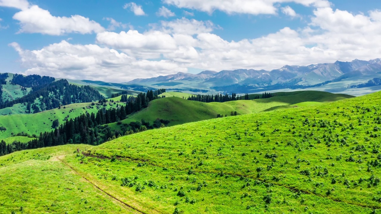 空中拍摄的新疆那拉提草原上的绿草和山地景观。视频素材