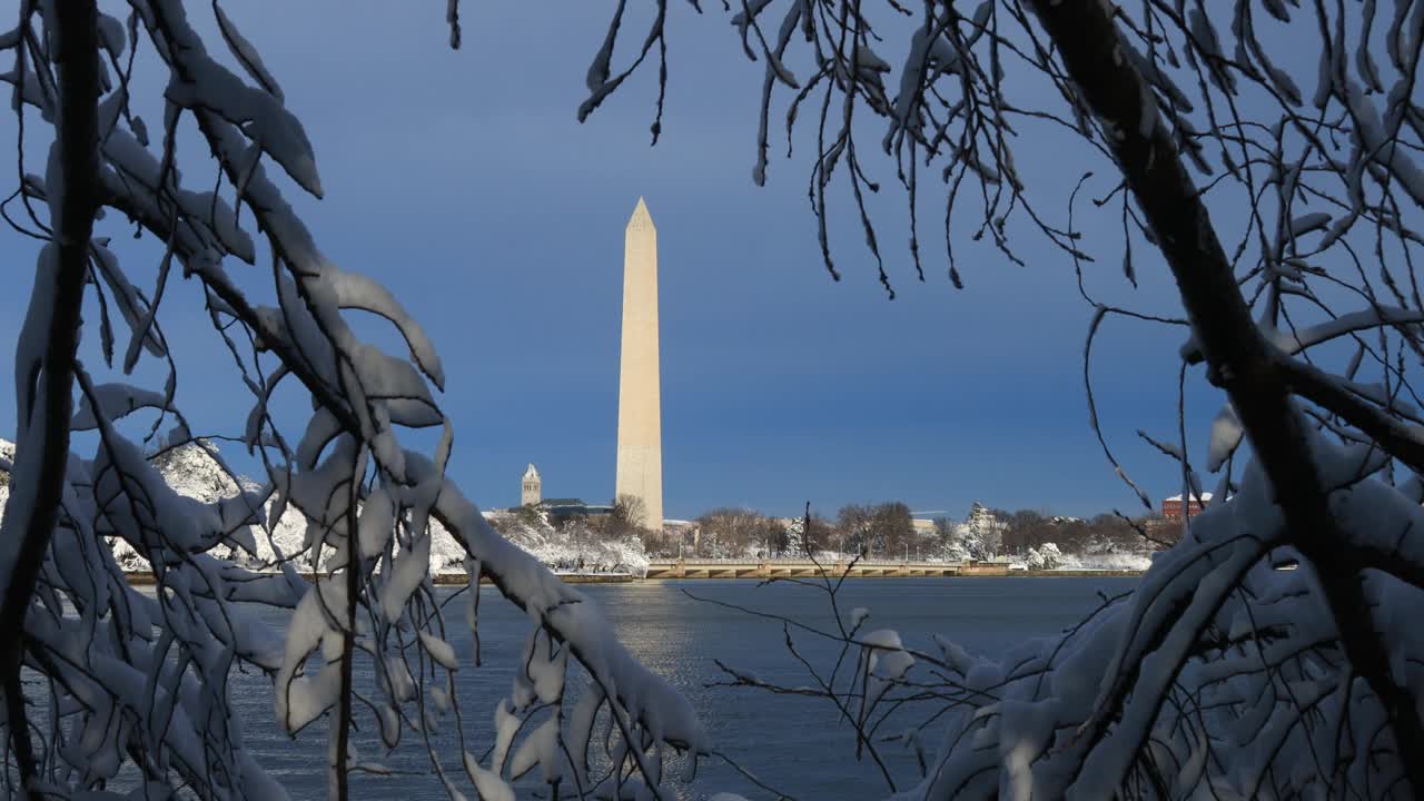 透过白雪覆盖的树枝看到潮汐盆地和华盛顿纪念碑视频素材