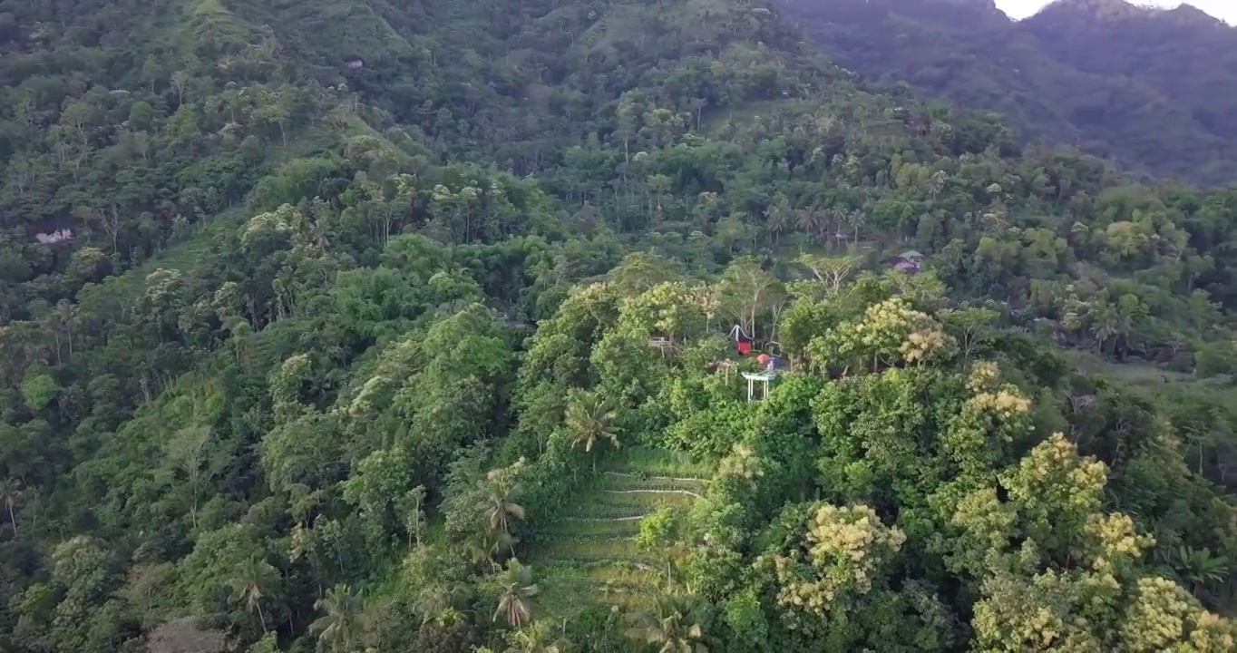 无人机拍摄的自然景观，山上长满了茂密的树木，在热带地区的早晨视频素材