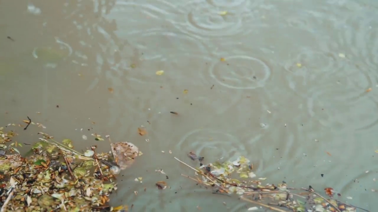 雨滴落在水坑里。视频素材