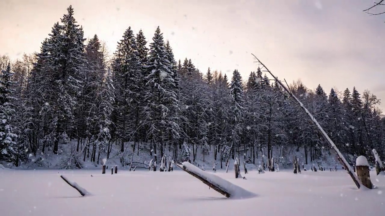 美丽的冬季风景，镜头移动到左边的湖面上。美丽的雪视频素材