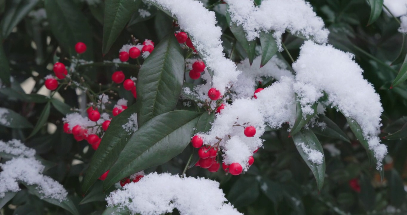 东京南部的天空和大雪视频素材