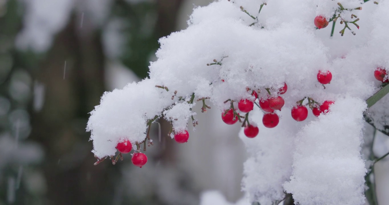 东京南部的天空和大雪视频素材