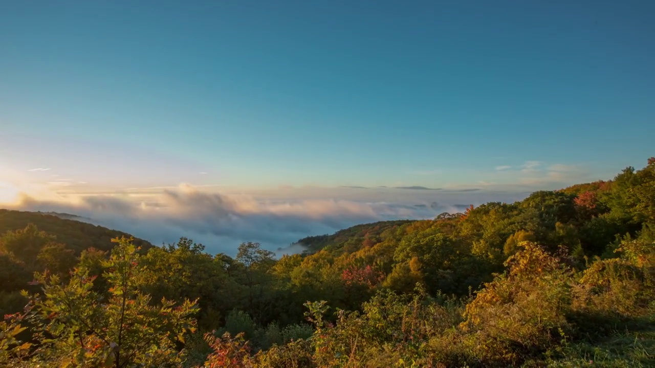 4K TL BRP日出雾谷视频素材