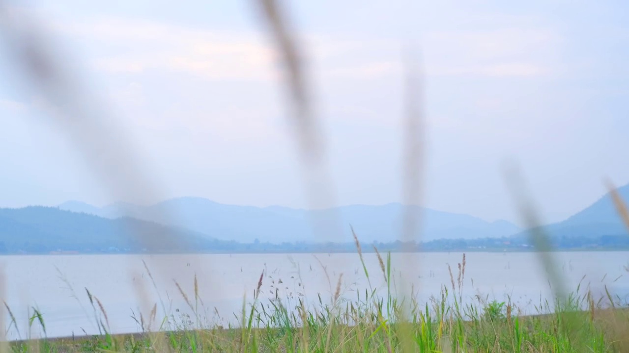 美丽的风景自然运动，波浪，河流，湖泊和草吹在风的背景在热带泰国山脉。视频素材