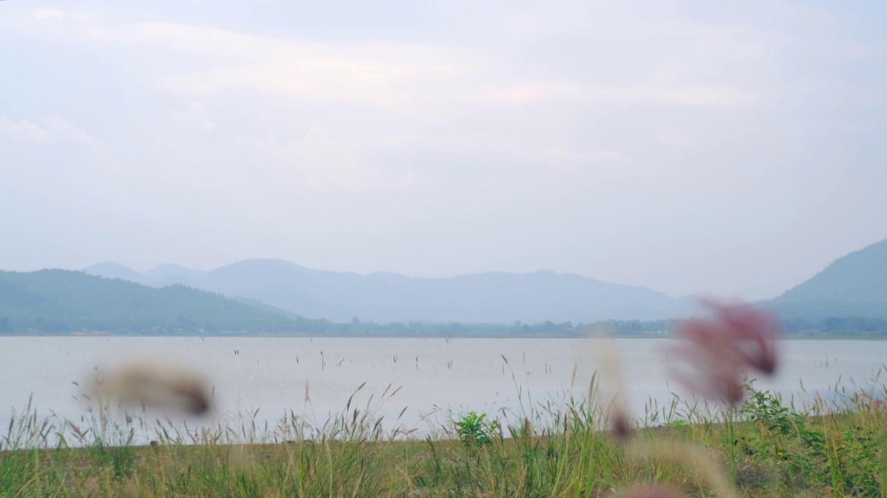 美丽的风景自然运动，波浪，河流，湖泊和草吹在风的背景在热带泰国山脉。视频素材