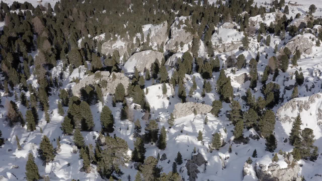 在阿尔卑斯山和森林上空飞行视频素材