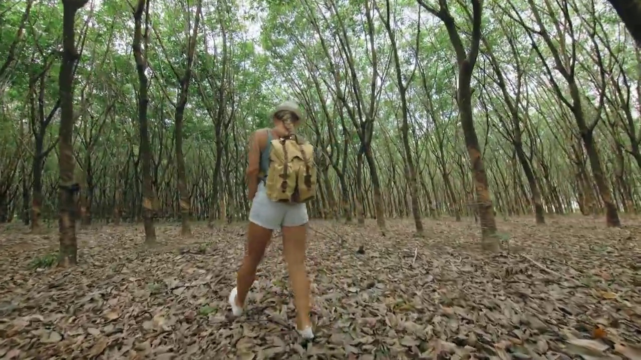 旅行者行走在树木之间的种植园农业亚洲的天然乳胶提取传统牛奶视频素材